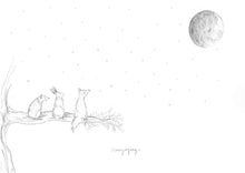 Load image into Gallery viewer, ‘Stargazing’