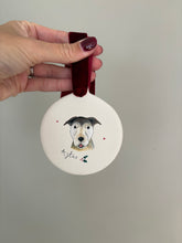 Load image into Gallery viewer, Hand Illustrated Pet Baubles
