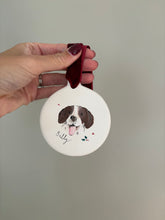 Load image into Gallery viewer, Hand Illustrated Pet Baubles
